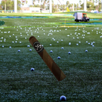 The Turn! 6 X 60 - Tricolor Barberpole