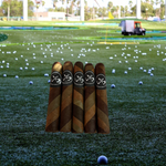 The Turn! 6 X 60 - Tricolor Barberpole